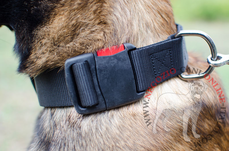 Collare regolabile in nylon "Usability" per Malinois - Clicca l'immagine per chiudere