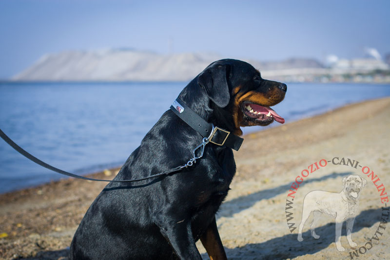 Collare in nylon con targhetta "Unparalleled" per Rottweiler - Clicca l'immagine per chiudere