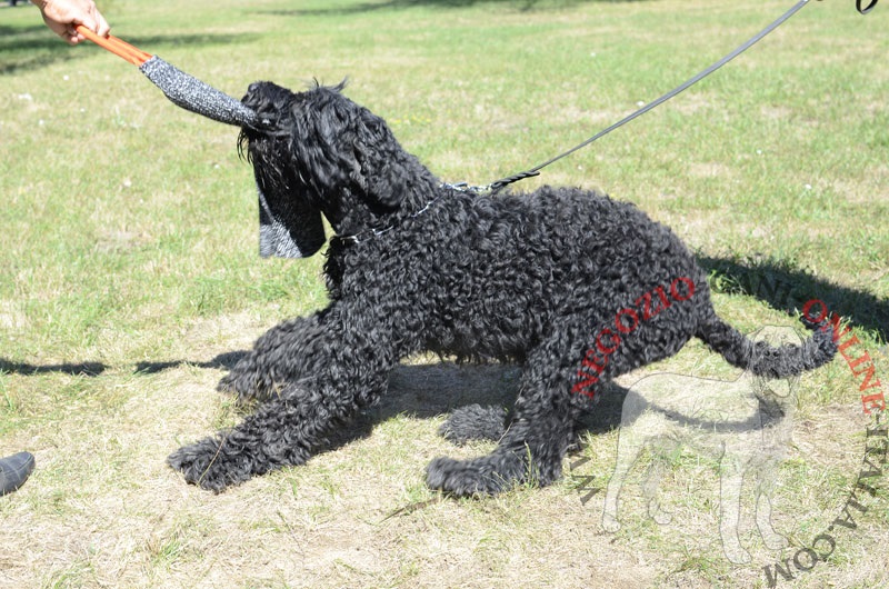 Straccetto in tela francese per Terrier Nero Russo - Clicca l'immagine per chiudere