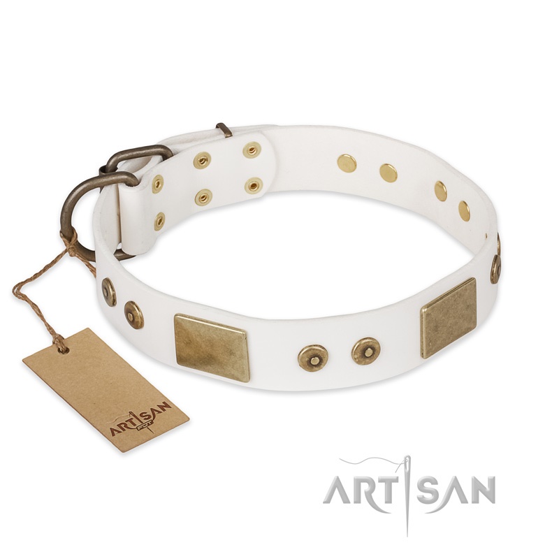 FDT Artisan - Collare bianco "Unforgettable Impress" per cane - Clicca l'immagine per chiudere