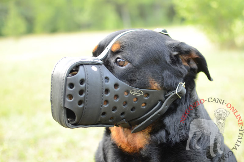 Museruola rinforzata "Attack Training" per Rottweiler - Clicca l'immagine per chiudere