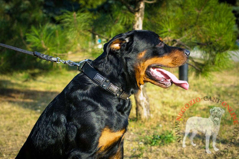 Collare in pelle con decorazioni "Fantasy" per Rottweiler - Clicca l'immagine per chiudere