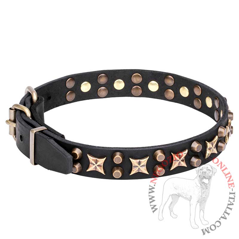 Collare in vero cuoio "Hollywood Star" per cane, largo 3 cm - Clicca l'immagine per chiudere