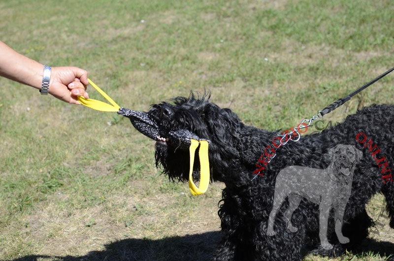 Tug con due maniglie "Best Incentive" per Terrier Nero Russo - Clicca l'immagine per chiudere