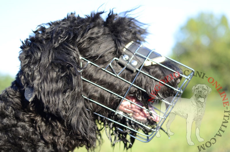 Museruola metallica a cestello per Black Russian Terrier - Clicca l'immagine per chiudere