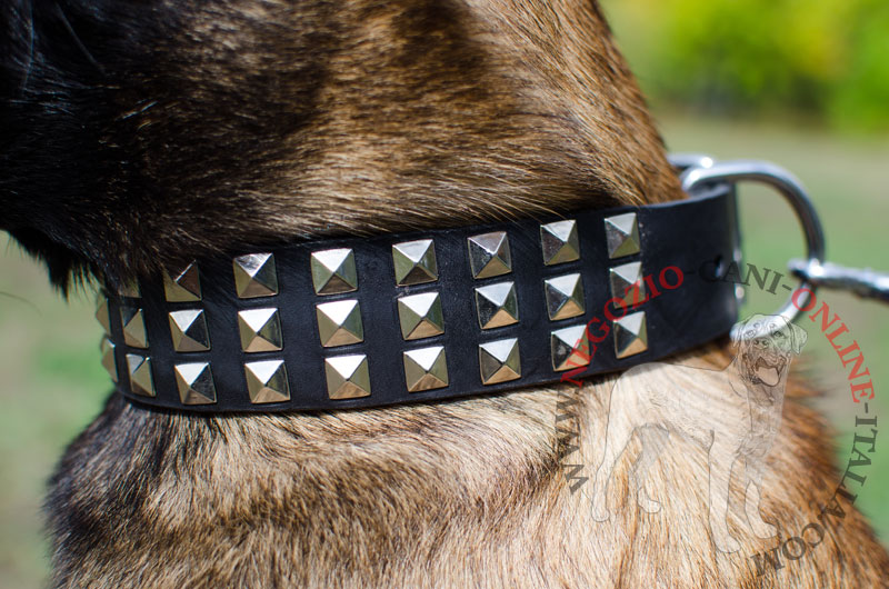 Collare in pelle con piramidi "Premium Finery" per Malinois - Clicca l'immagine per chiudere