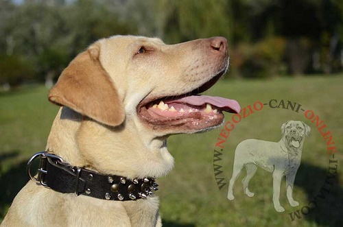 Collare in pelle decorato "Thorn Kick" per Labrador Retriever - Clicca l'immagine per chiudere