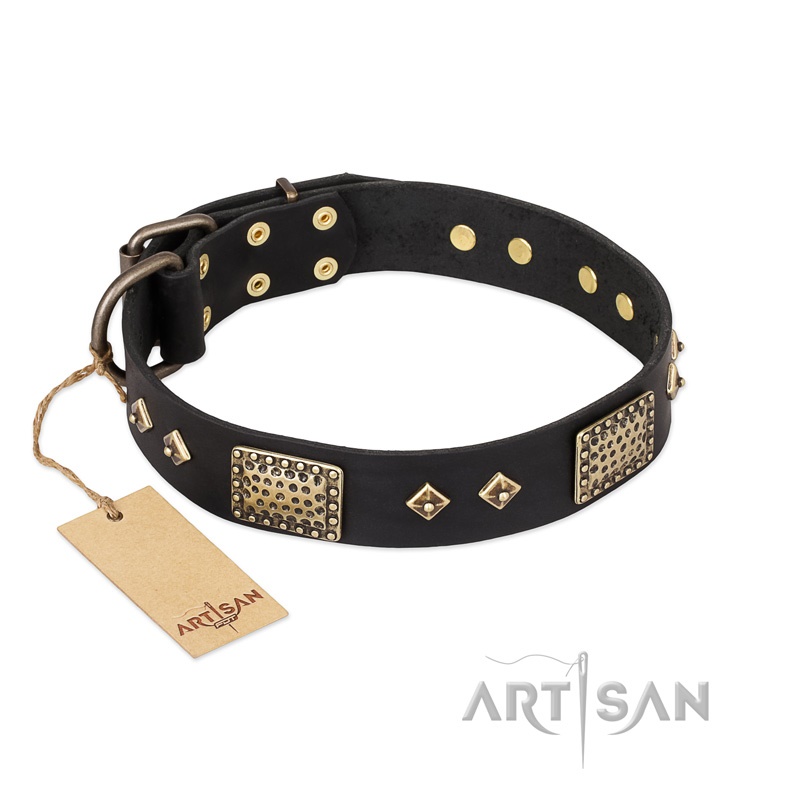 FDT Artisan - Collare in cuoio nero "Jewel Passion" per cane - Clicca l'immagine per chiudere