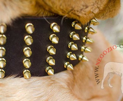 Straordinario collare in cuoio largo 7 cm per Dogue de Bordeaux - Clicca l'immagine per chiudere