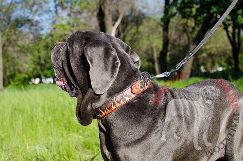 Collare in cuoio dipinto a mano per Mastino Napoletano - Clicca l'immagine per chiudere