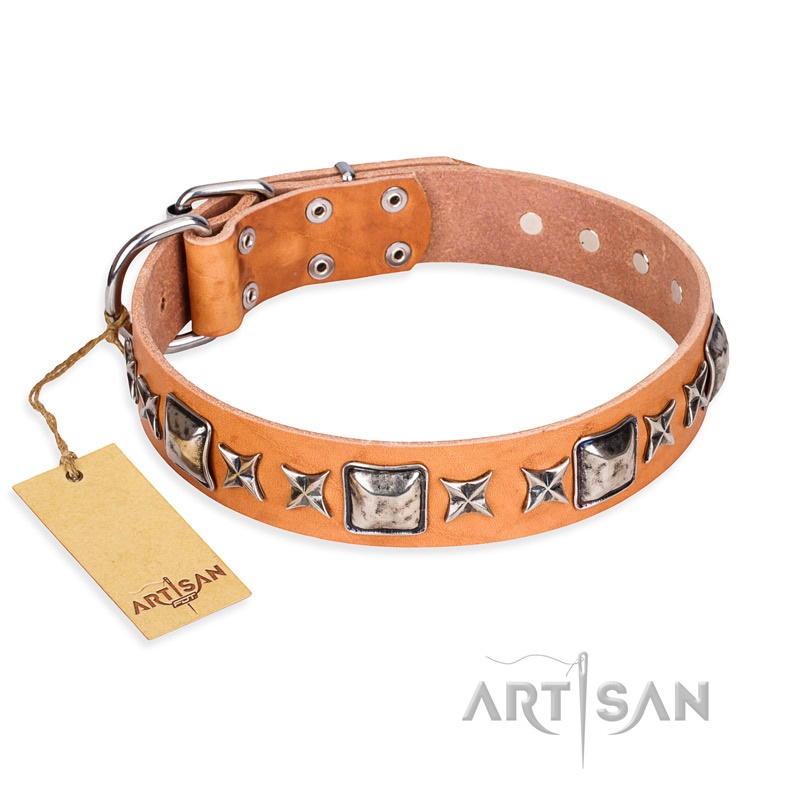 FDT Artisan - Collare di colore naturale "Silver Chic" per cane - Clicca l'immagine per chiudere