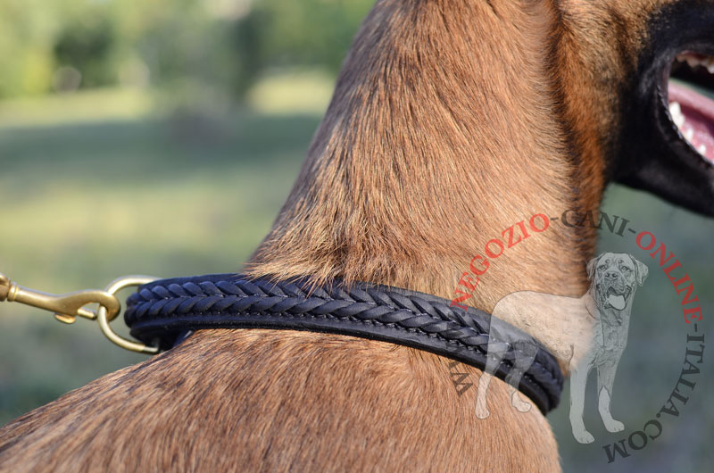 Collare in doppia pelle "VIP Class Doggy" per Malinois - Clicca l'immagine per chiudere