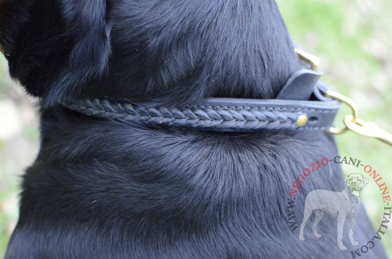 Collare in cuoio decorato "VIP Class Doggy" per Rottweiler - Clicca l'immagine per chiudere