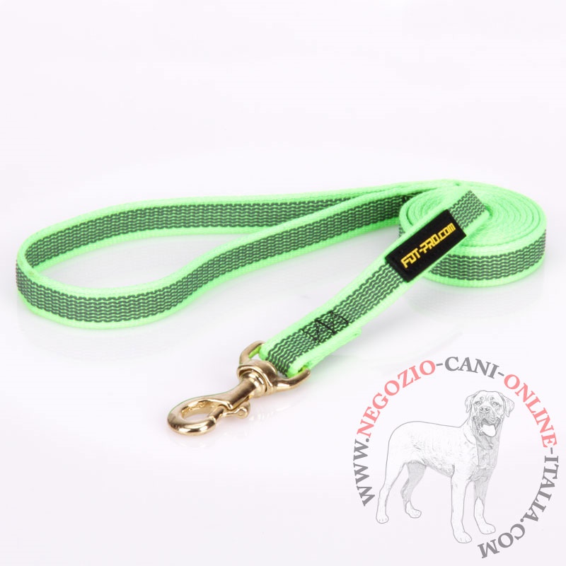 Guinzaglio di colore verde in nylon gommato per cane - Clicca l'immagine per chiudere
