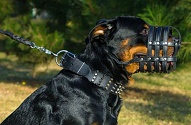 Collare in cuoio largo 6 cm "Cool Novelty" per Rottweiler