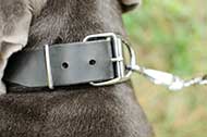 Durevole collare in cuoio largo 40 mm per Mastino Napoletano Durevole collare in cuoio largo 40 mm per Mastino Napoletano