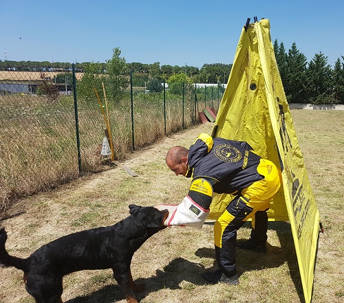 Tuta protettiva per gare sportive e
mostre canine