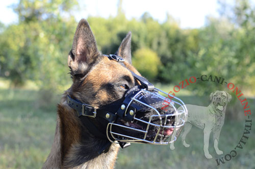 Museruola a cestello in metallo per Malinois