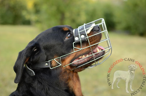 Museruola a cestello in filo metallico per Rottweiler