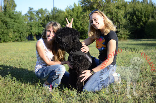 Pettorina in nylon per l'uso quotidiano