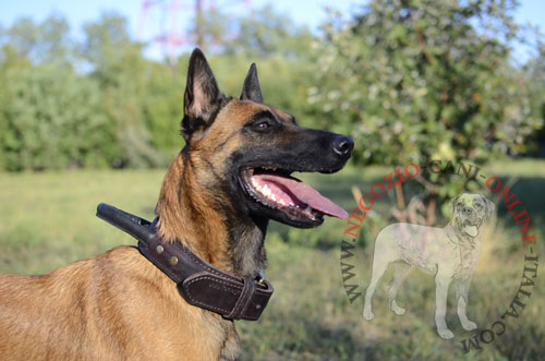 Resistente collare per
Malinois