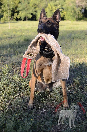 Straccetto da mordere in juta per
giochi e addestramento del cane giovane