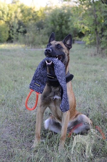 Straccetto da mordere in Tela Francese per addestramento
del cane