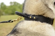 Collare in pelle con maniglia "Easy control" per Malamute Collare in pelle con maniglia "Easy control" per Malamute