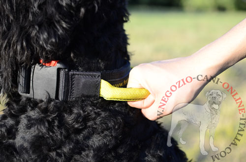 Terrier Nero Russo con collare dotato di maniglia
indosso