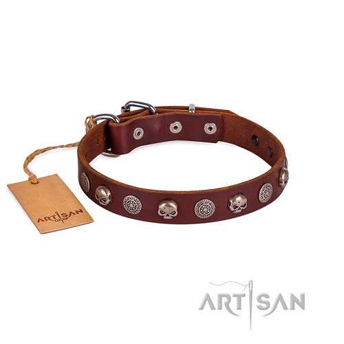 FDT Artisan - Collare con teschi e medaglie tribali per cane