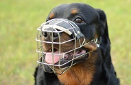 Museruola in metallo a cestello "Breath" per Rottweiler