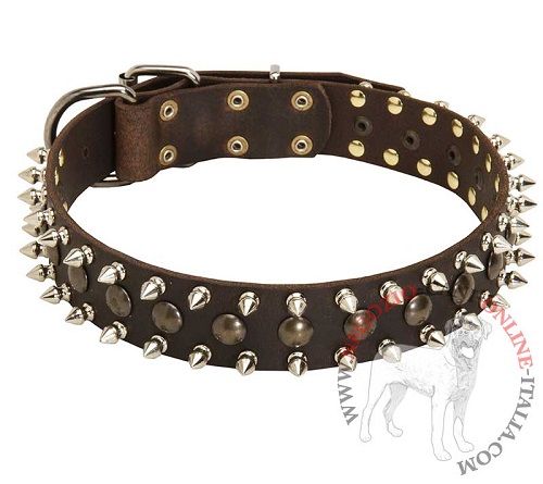 Collare in pelle con decorazioni Thorn Kick per Malinois