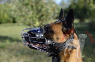 Leggera museruola a cestello "Universal" per Malinois [M4]