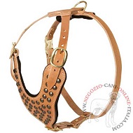 Pettorina in pelle decorata con borchie a semisfere