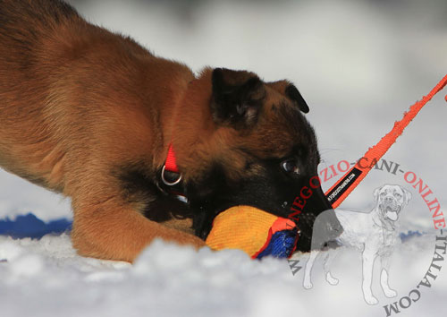 Tug da mordere in Tela Francese per l'addestramento
del cane