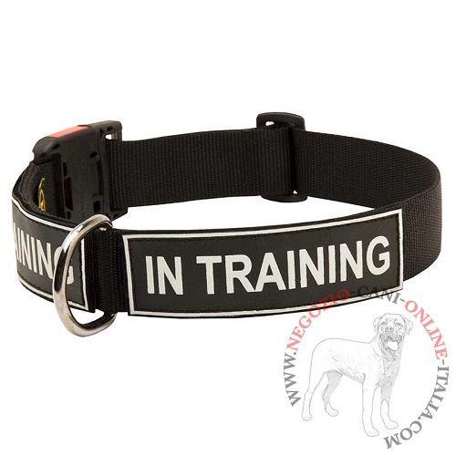 Collare in nylon con scritta speciale In Training