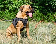 Pettorina in nylon "Tractive Force" per Cane Corso