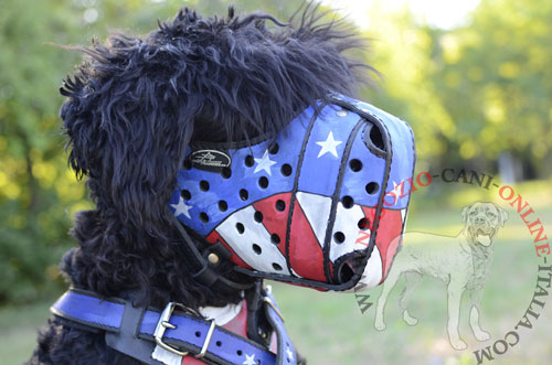 Terrier Nero Russo con museruola
disegnata in vera pelle indosso