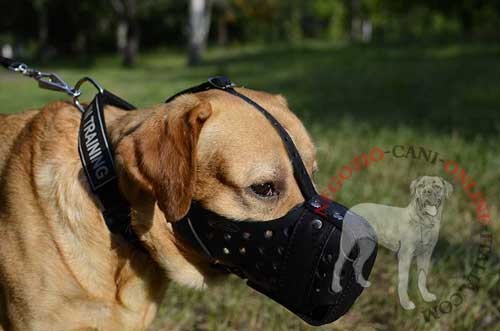 Museruola in cuoio Dondi plus per cani di taglia
grande come Labrador