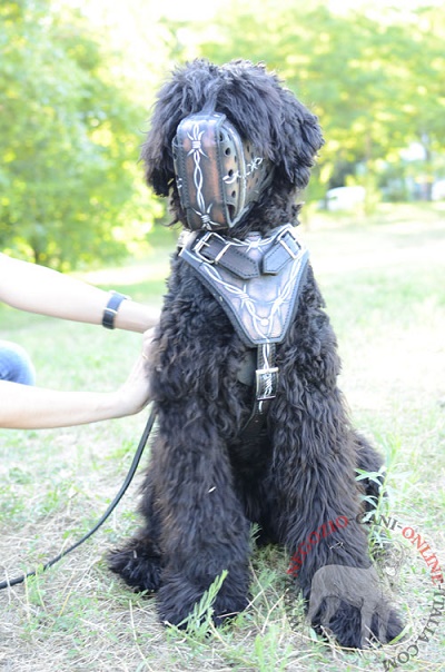 Terrier Nero Russo con museruola
dipinta a mano indosso