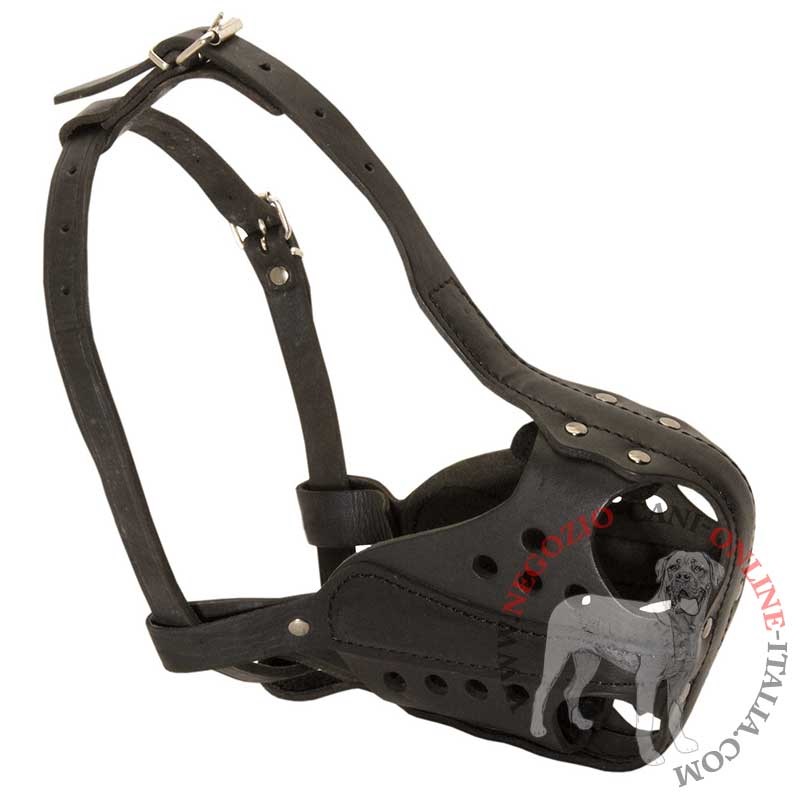 Museruola per cani grandi, medi e piccoli Musruola leggera in cuoio per  tutte le razze di cani [M41##1061 Museruola in cuoio] - €42.90 :  fordogtrainers, negozio per cani, accessori per cani, articoli