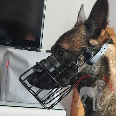 Museruola a cestello con rivestimento gommato per Pastore Tedesco e malinois