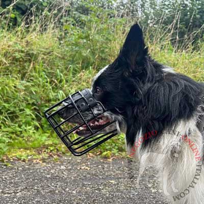 Museruola a cestello gommata per cani di taglia grande e media