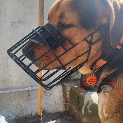 Museruola a cestello gommata per cani di taglia grossa