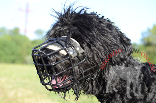 Museruola in metallo gommata per Terrier Nero Russo