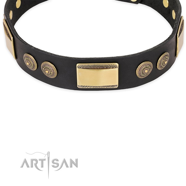 Collare per passeggiate con cane FDT Artisan