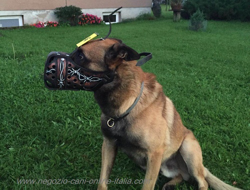 Museruola dipinta a mano per cane