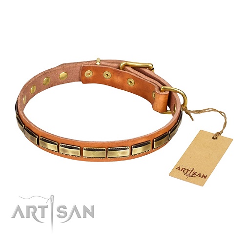 FDT Artisan - Collare in cuoio Wealth Effulgence per cane