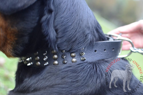 Decorazioni del collare in cuoio per Rottweiler