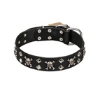 FDT Artisan - Collare in cuoio "Fancy Rock'n'Roll" per cane [C168]